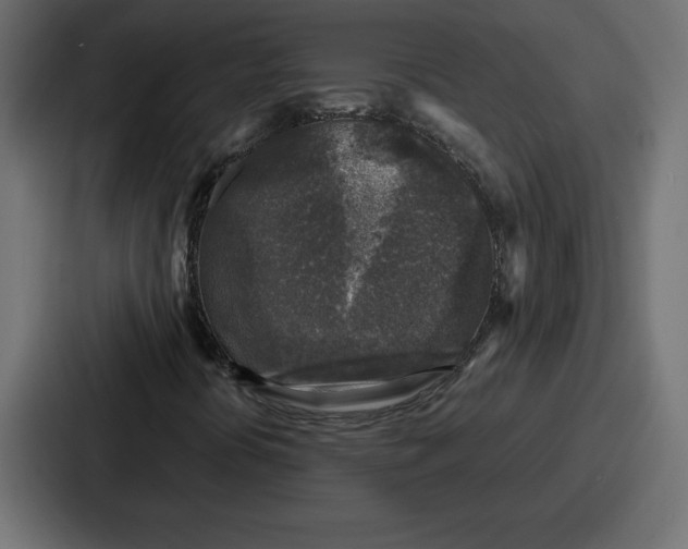 X0000087051394200705160941