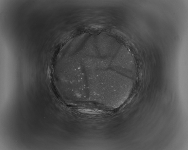 X0000087051397200705160941