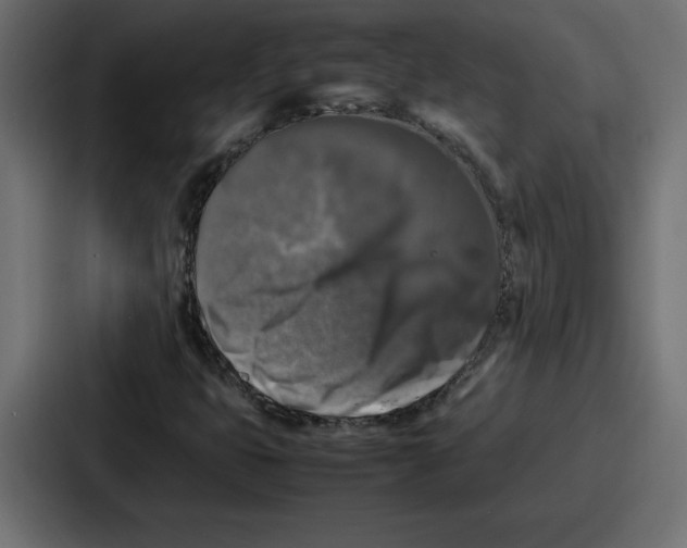 X0000087051399200705160941