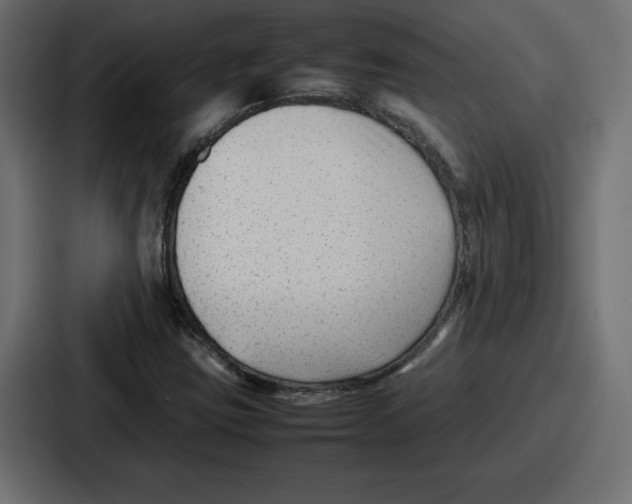 X0000087051403200705160941