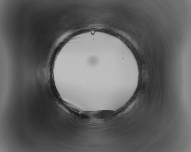 X0000087051406200705160941