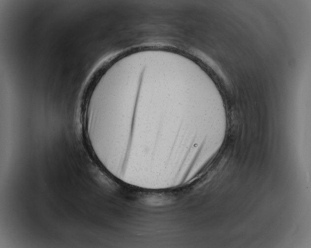 X0000087051408200705160941