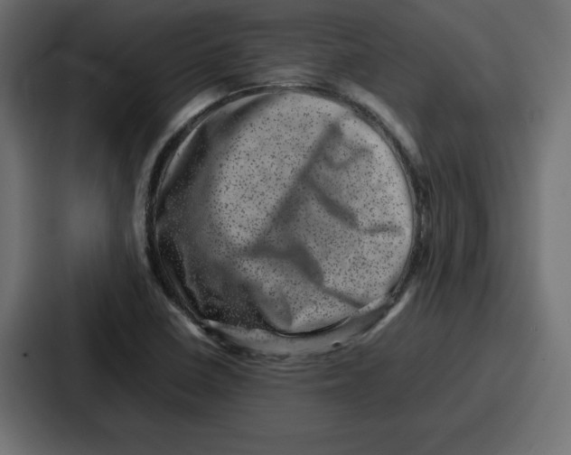 X0000087051410200705160941