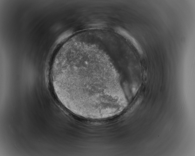 X0000087051411200705160941