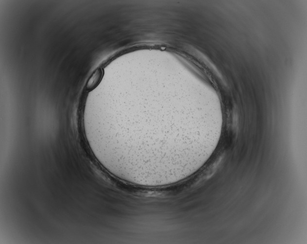 X0000087051412200705160941