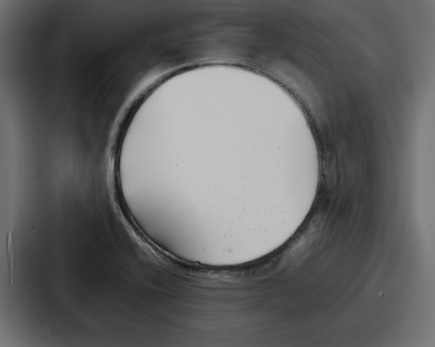 X0000087051416200705160941