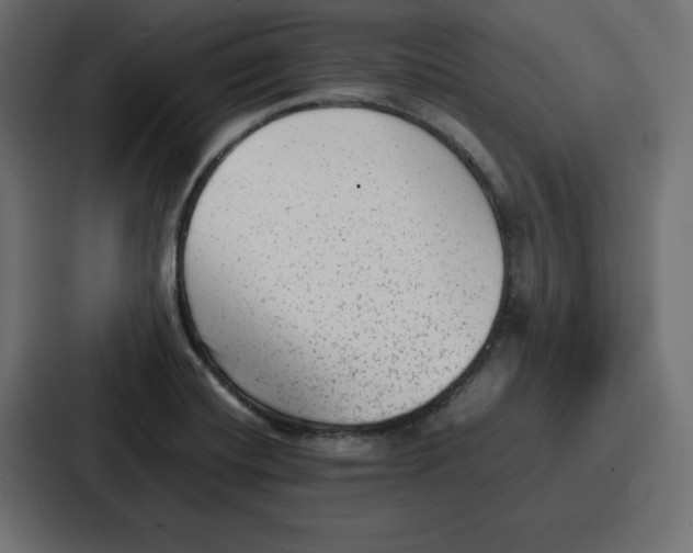 X0000087051420200705160942