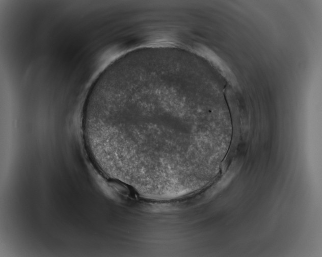 X0000087051422200705160942