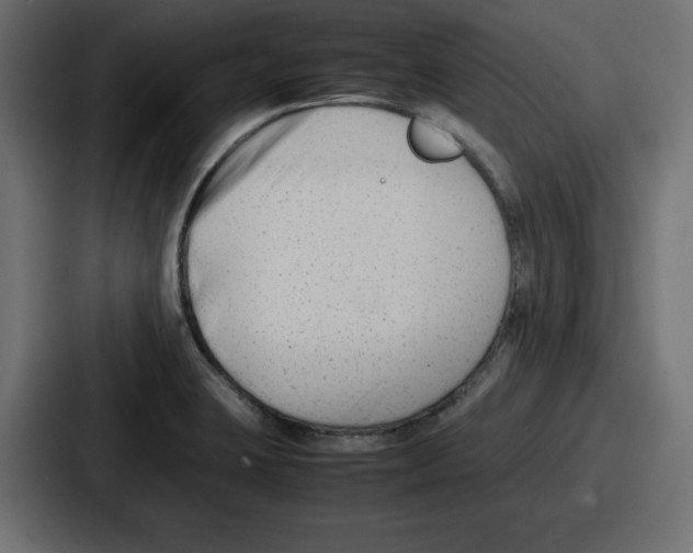 X0000087051423200705160942