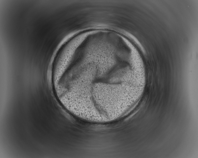 X0000087051424200705160942