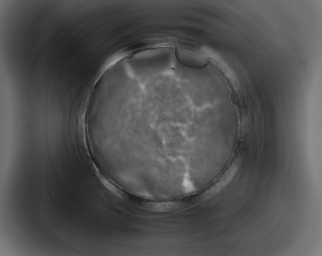 X0000087051425200705160942