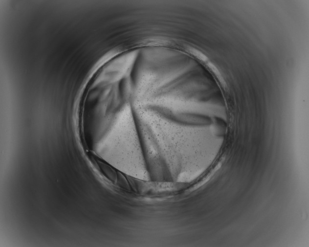 X0000087051426200705160942