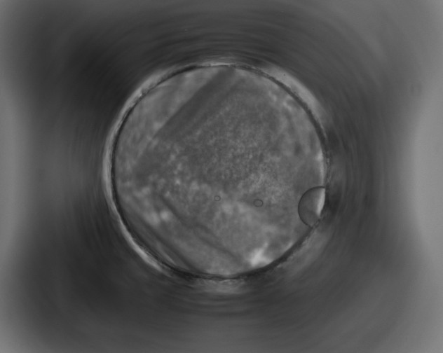 X0000087051429200705160942