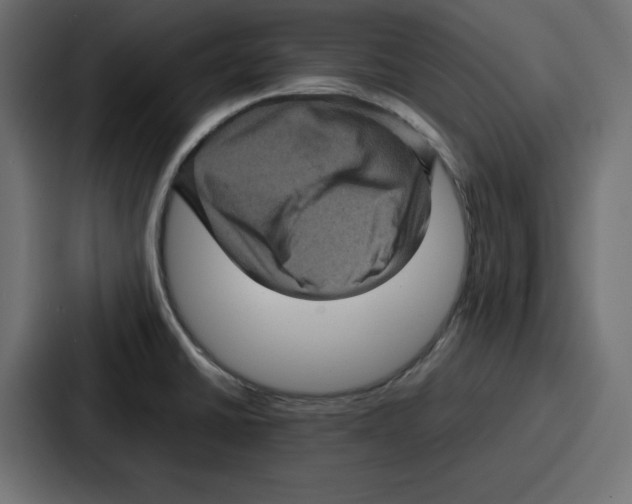 X0000087051430200705160942