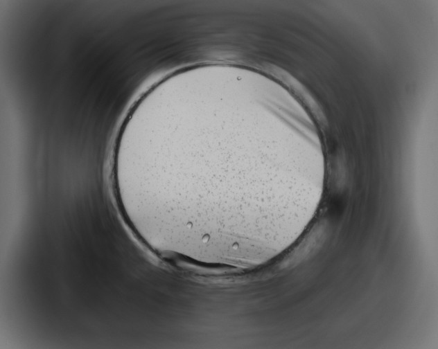 X0000087051432200705160942