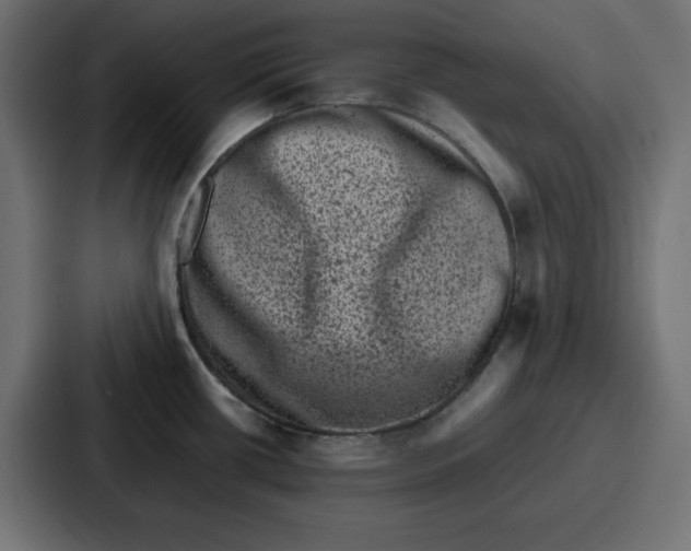 X0000087051434200705160942