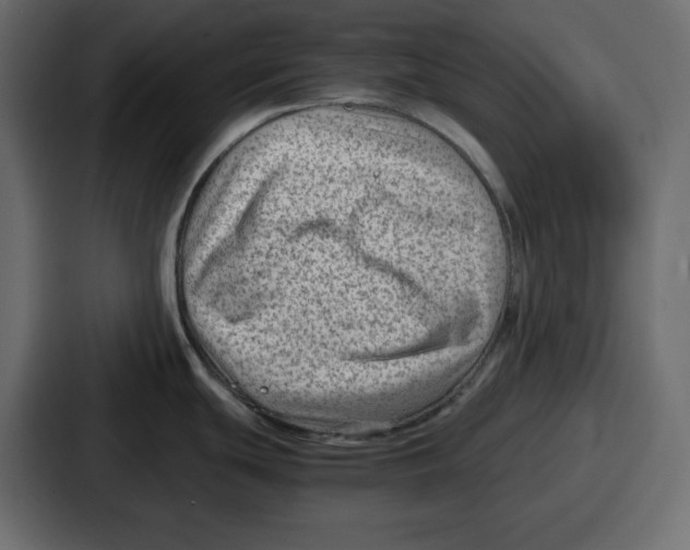 X0000087051439200705160942