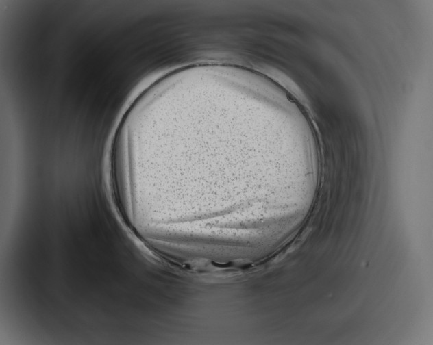 X0000087051440200705160942