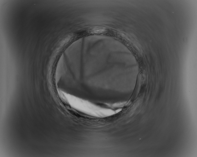 X0000087051441200705160941