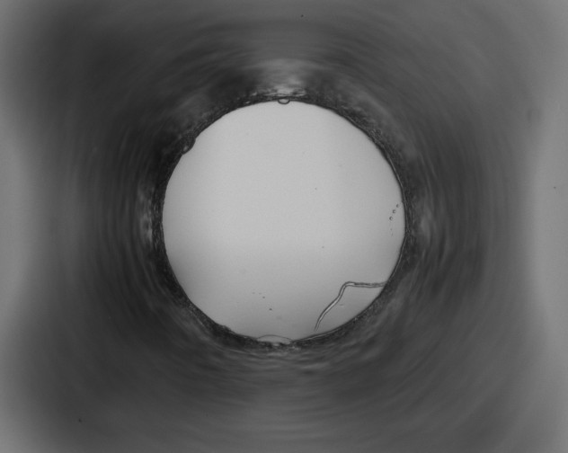 X0000087051442200705160941