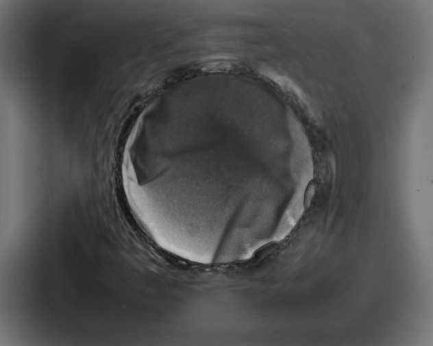 X0000087051445200705160941