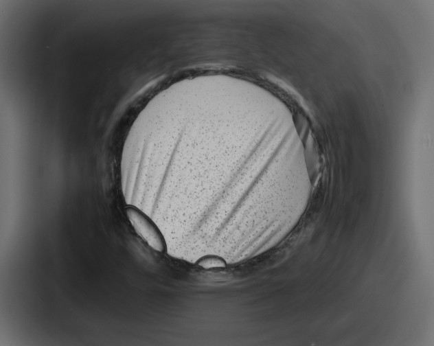 X0000087051448200705160941