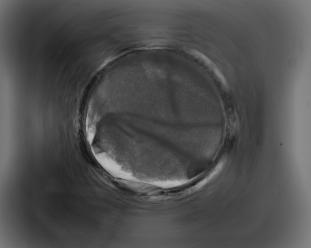 X0000087051449200705160941