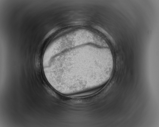 X0000087051450200705160941