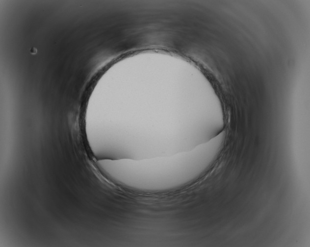 X0000087051452200705160941