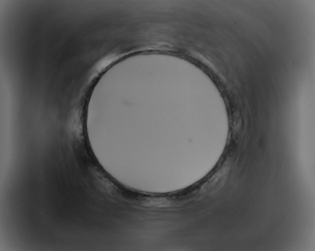 X0000087051455200705160941