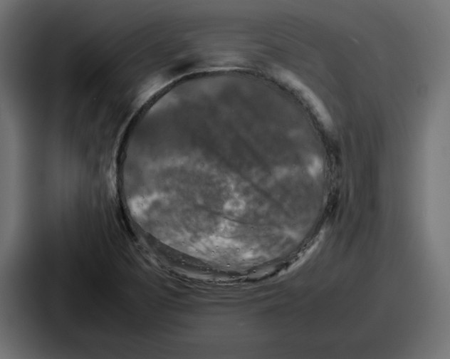 X0000087051457200705160941