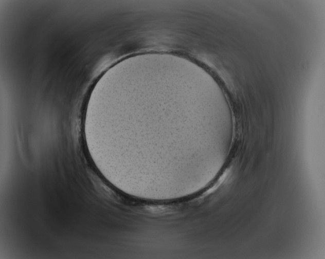 X0000087051459200705160941