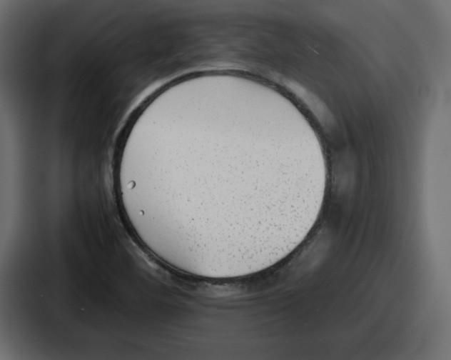 X0000087051460200705160941