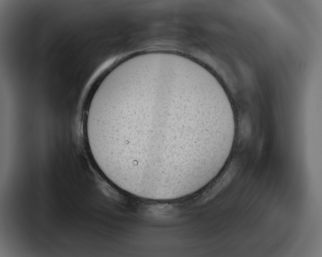 X0000087051462200705160941