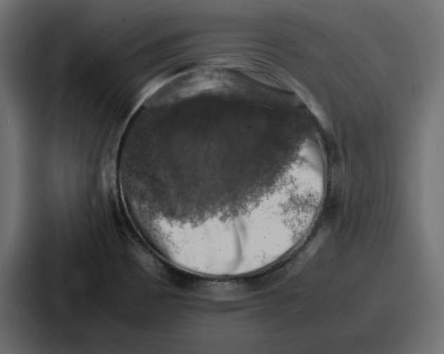 X0000087051465200705160941