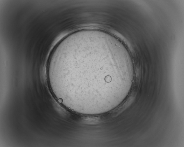 X0000087051466200705160941