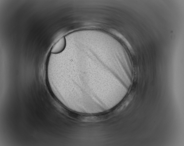 X0000087051467200705160941