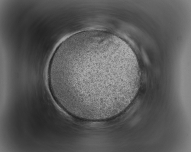 X0000087051471200705160941