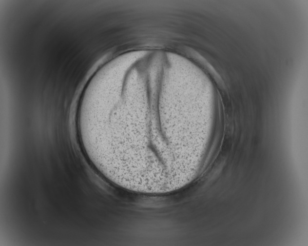 X0000087051475200705160941