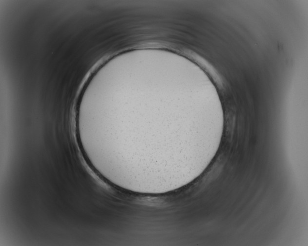 X0000087051476200705160941