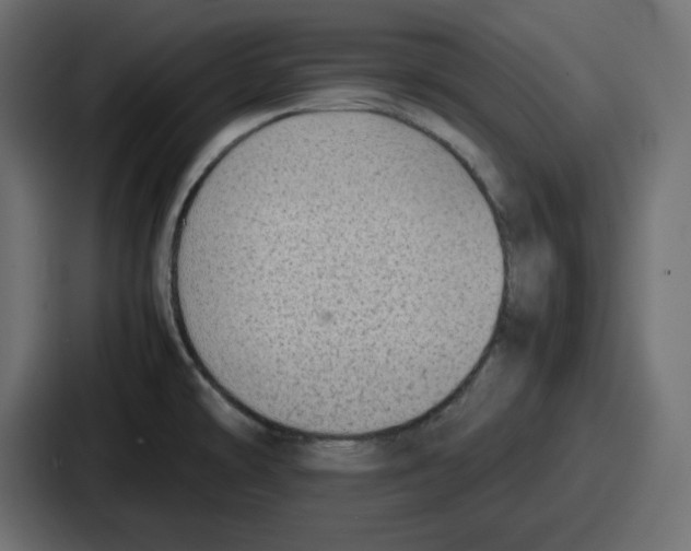 X0000087051478200705160940