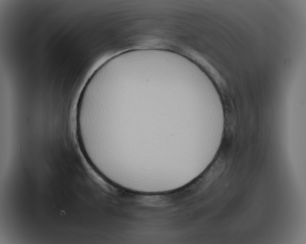 X0000087051479200705160940