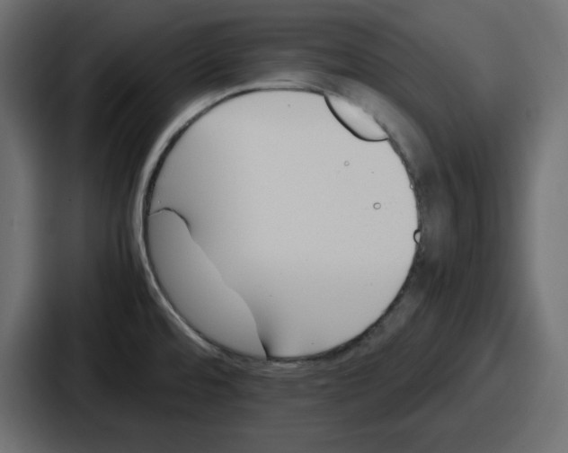 X0000087051480200705160940