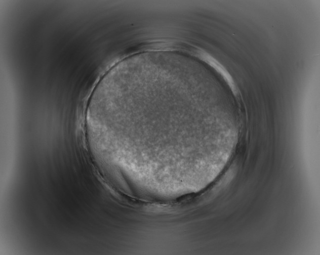 X0000087051481200705160940