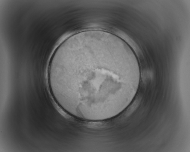 X0000087051482200705160940