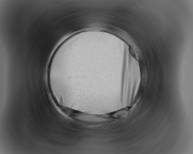 X0000087051484200705160940