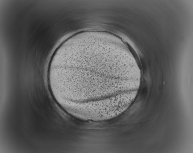 X0000087051485200705160940