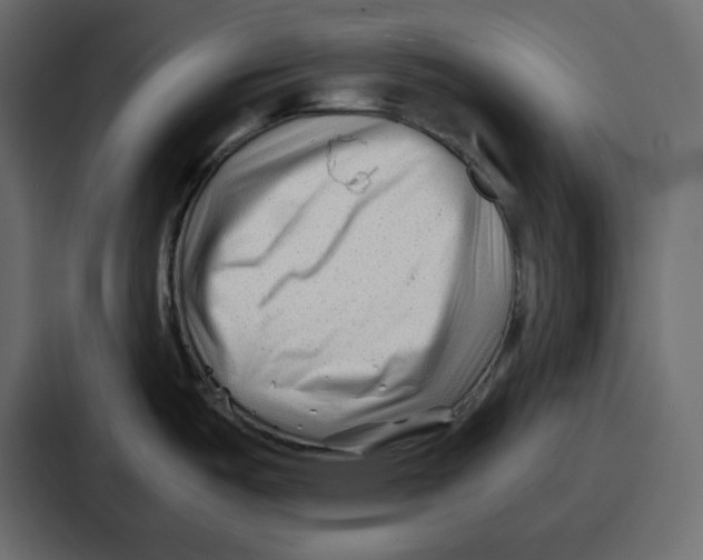 X0000087051487200705160940