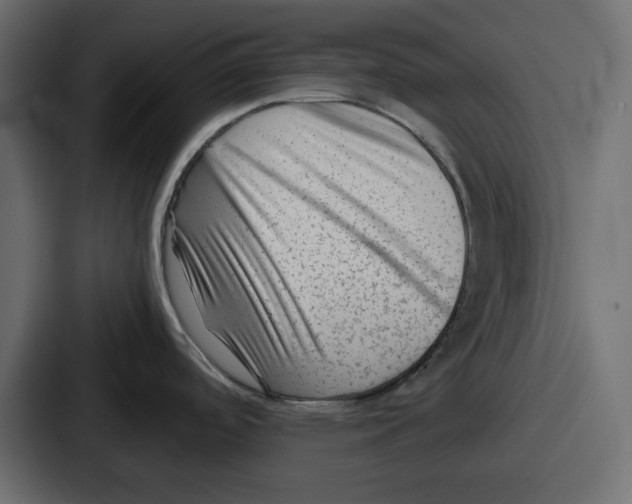 X0000087051488200705160940