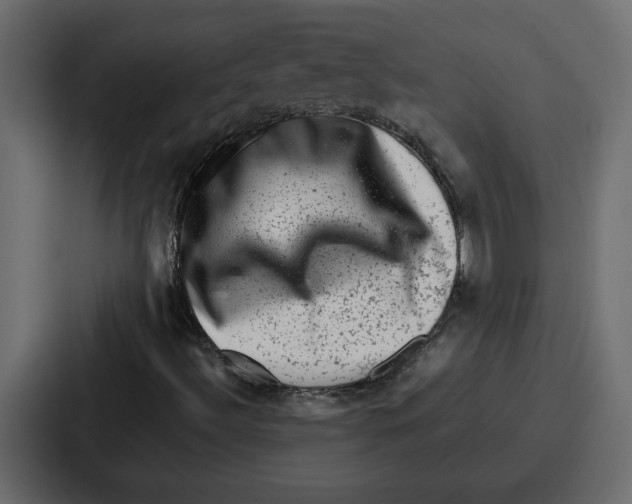 X0000087051492200705160940